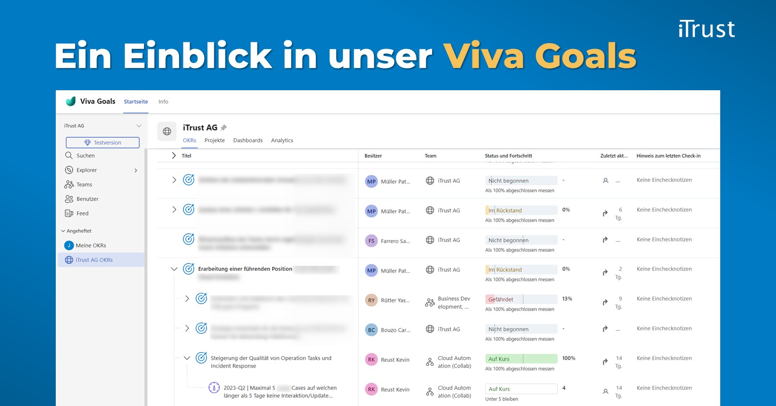 Viva Goals: Screenshot von unserer Übersicht